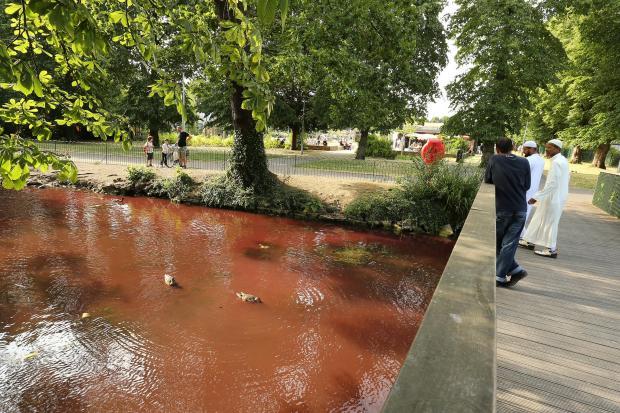 The mystery behind 'blood-red' moat in Lloyd Park revealed